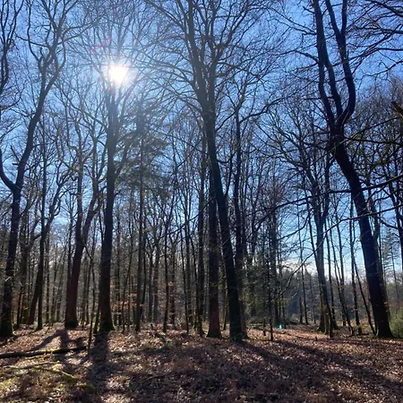 Le Yetişkin Oteli Tronquoy