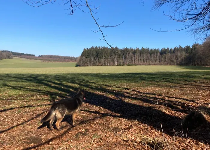 Ξενοδοχείο ημιδιαμονής Le *