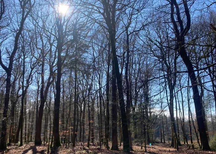 Le Ξενοδοχείο ημιδιαμονής Tronquoy